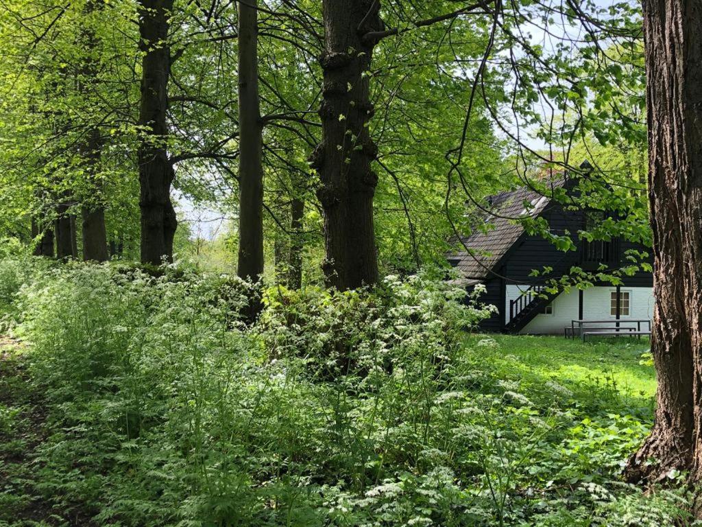 Het Wagenhuis Loon op Zand Exterior foto